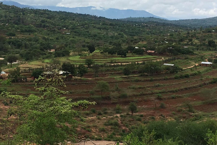 Wash and Grow! is getting started in Kenya and Finland