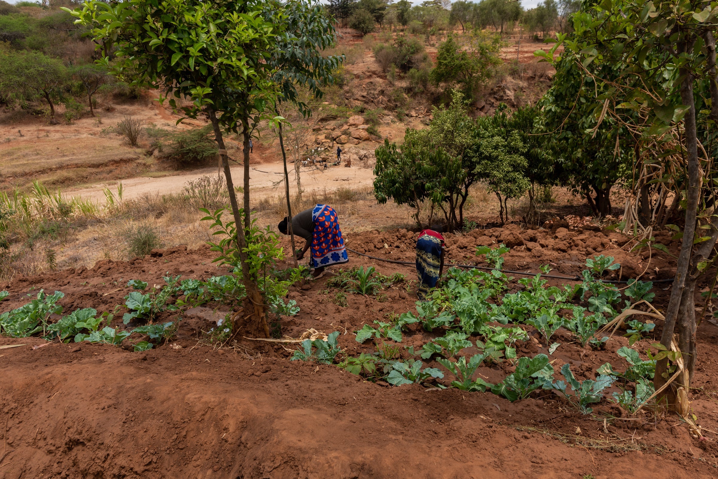 Good news - WASH and Grow! has received additional funding!