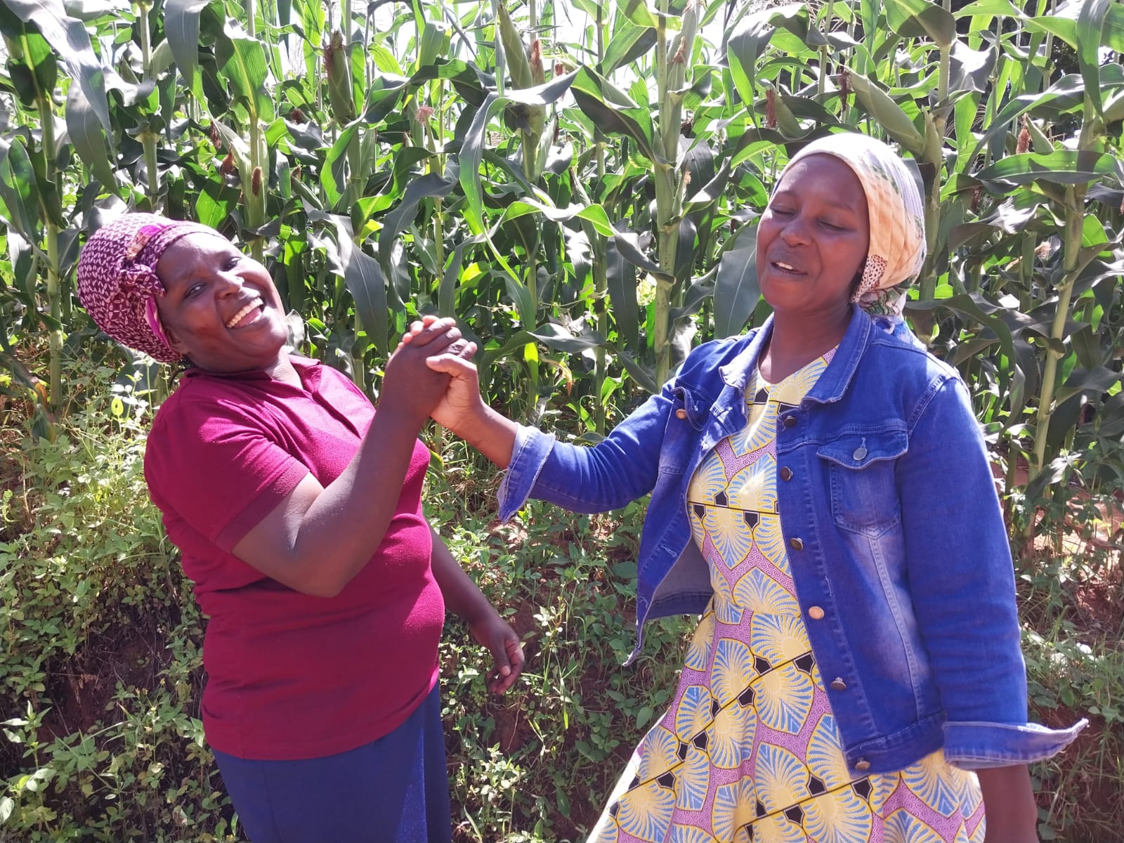 From Weaving to Community Involvement: Friendship of Anna and Ruth