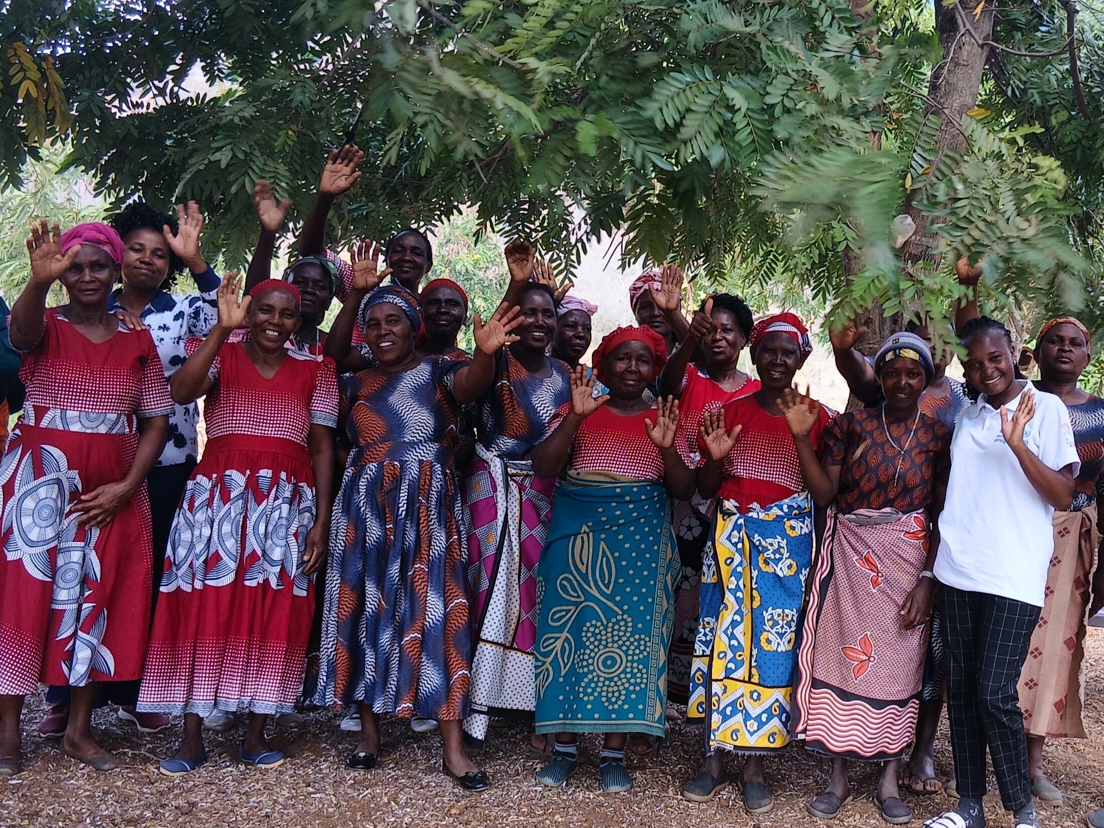 The women's group and Jacinta Musyoki from Mifuko Trust waving for the camera beneath a tree