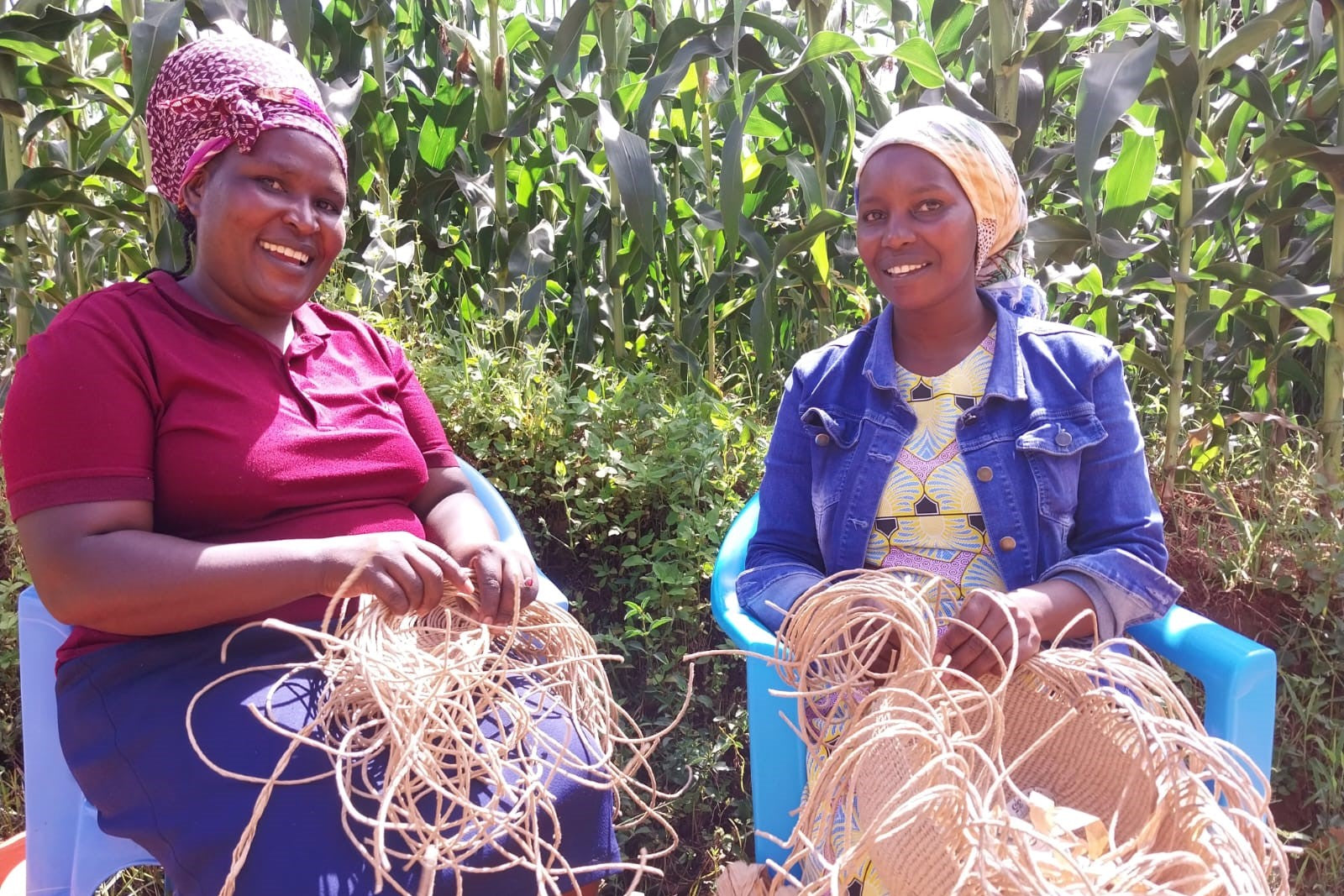Weaving a friendship
