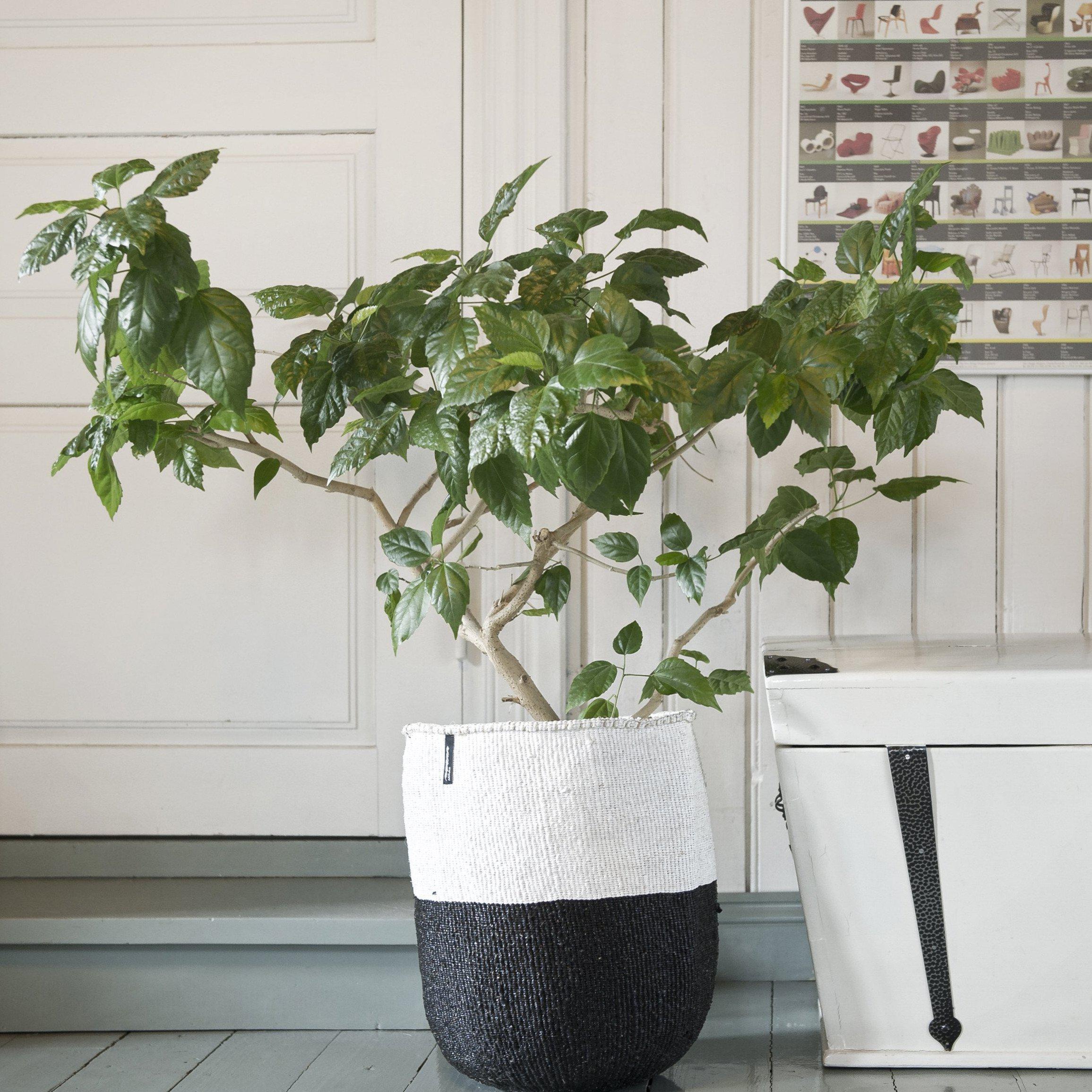 Mifuko Partly recycled plastic and sisal Medium size basket L Kiondo basket | White and black duo L