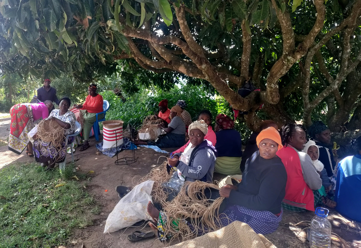 Women's group weaving baskets under a tree